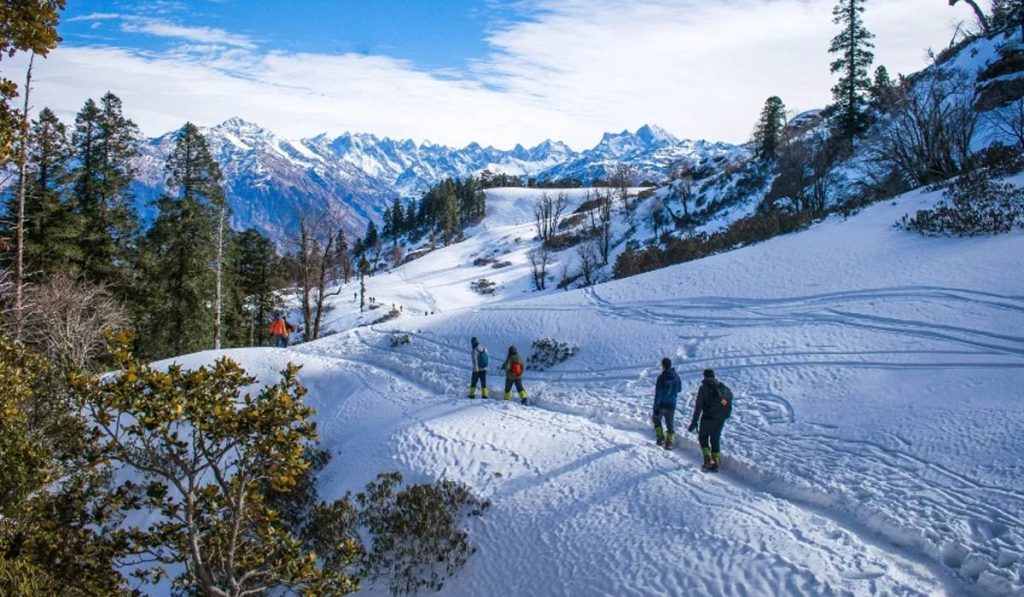 Triund Trek