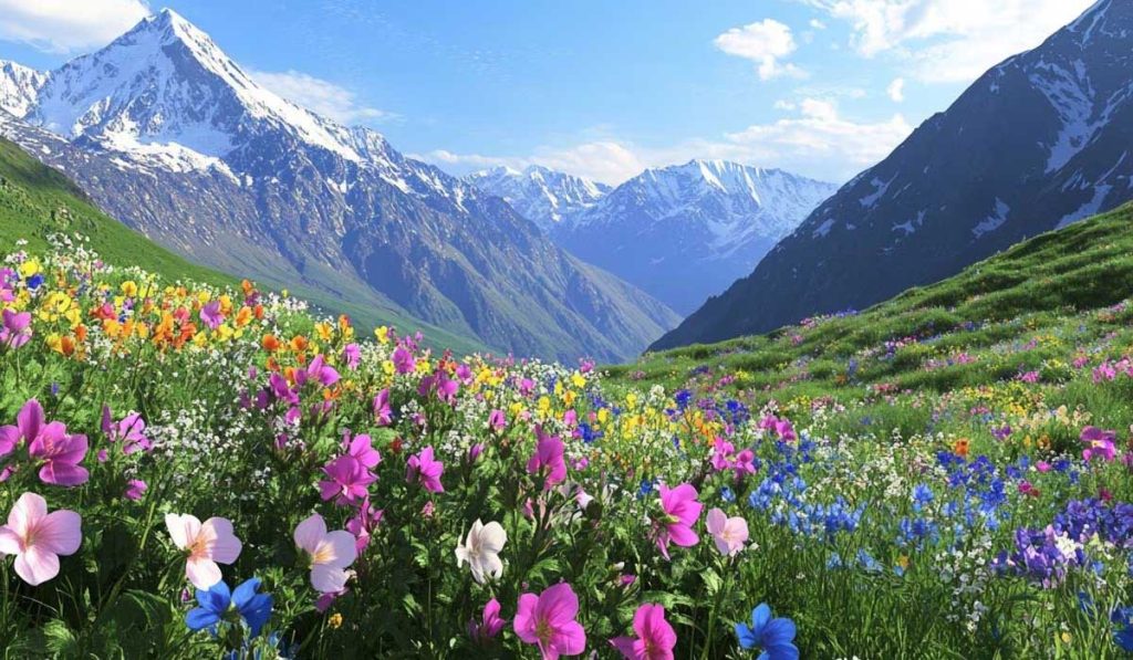 Valley of flowers trek